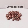 Lavender auto  variedad