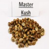 Master Kush  variedad