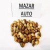 Семена Mazar auto