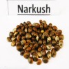 Narkush seeds