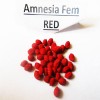 Amnesia fem (spain) seeds