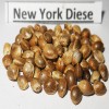 New York Diesel