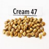 Cream 47 seeds
